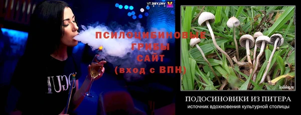 apvp Алексеевка